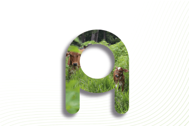 Técnico Profesional en Producción de Ganadería Sostenible 